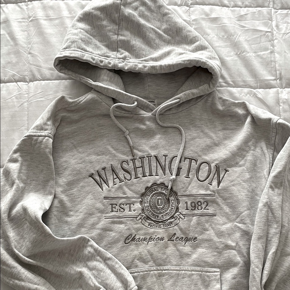 Garage Gray Washington Champion League Sweater